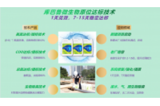 春節(jié)復工，生化系統(tǒng)快速修復，確保污水達標排放