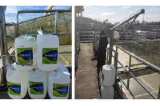 如何防范生化出水總氮超標